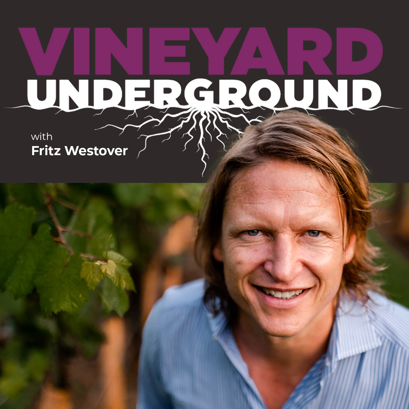 Final Vineyard underground copy (1)